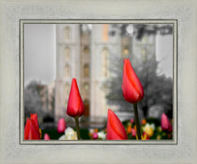 Load image into Gallery viewer, Salt Lake City Temple Beginning Transformation
