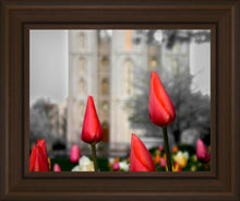 Load image into Gallery viewer, Salt Lake City Temple Beginning Transformation
