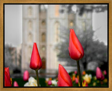 Load image into Gallery viewer, Salt Lake City Temple Beginning Transformation Gallery Wrap

