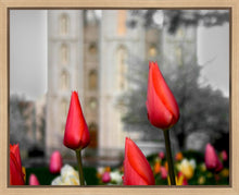 Load image into Gallery viewer, Salt Lake City Temple Beginning Transformation Gallery Wrap
