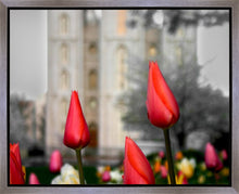 Load image into Gallery viewer, Salt Lake City Temple Beginning Transformation Gallery Wrap
