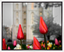 Load image into Gallery viewer, Salt Lake City Temple Beginning Transformation Gallery Wrap
