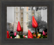 Load image into Gallery viewer, Salt Lake City Temple Beginning Transformation
