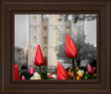 Load image into Gallery viewer, Salt Lake City Temple Beginning Transformation
