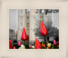 Load image into Gallery viewer, Salt Lake City Temple Beginning Transformation
