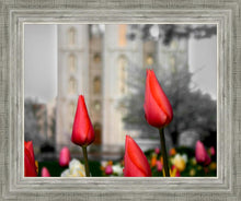 Load image into Gallery viewer, Salt Lake City Temple Beginning Transformation
