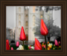 Load image into Gallery viewer, Salt Lake City Temple Beginning Transformation
