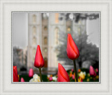 Load image into Gallery viewer, Salt Lake City Temple Beginning Transformation
