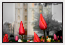 Load image into Gallery viewer, Salt Lake City Temple Beginning Transformation Gallery Wrap

