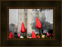 Load image into Gallery viewer, Salt Lake City Temple Beginning Transformation
