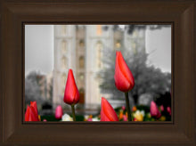 Load image into Gallery viewer, Salt Lake City Temple Beginning Transformation
