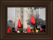 Load image into Gallery viewer, Salt Lake City Temple Beginning Transformation
