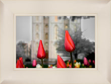Load image into Gallery viewer, Salt Lake City Temple Beginning Transformation
