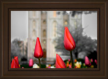 Load image into Gallery viewer, Salt Lake City Temple Beginning Transformation
