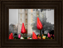 Load image into Gallery viewer, Salt Lake City Temple Beginning Transformation
