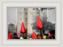 Load image into Gallery viewer, Salt Lake City Temple Beginning Transformation
