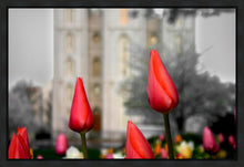Load image into Gallery viewer, Salt Lake City Temple Beginning Transformation Gallery Wrap
