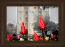 Load image into Gallery viewer, Salt Lake City Temple Beginning Transformation
