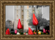 Load image into Gallery viewer, Salt Lake City Temple Beginning Transformation
