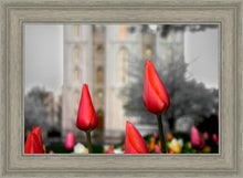 Load image into Gallery viewer, Salt Lake City Temple Beginning Transformation
