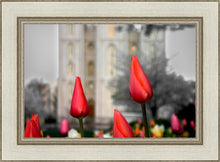 Load image into Gallery viewer, Salt Lake City Temple Beginning Transformation
