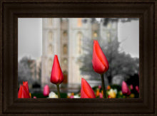 Load image into Gallery viewer, Salt Lake City Temple Beginning Transformation
