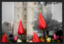 Load image into Gallery viewer, Salt Lake City Temple Beginning Transformation Gallery Wrap

