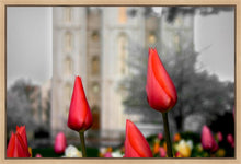 Load image into Gallery viewer, Salt Lake City Temple Beginning Transformation Gallery Wrap
