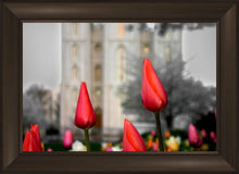 Load image into Gallery viewer, Salt Lake City Temple Beginning Transformation
