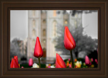 Load image into Gallery viewer, Salt Lake City Temple Beginning Transformation
