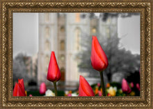 Load image into Gallery viewer, Salt Lake City Temple Beginning Transformation
