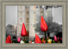 Load image into Gallery viewer, Salt Lake City Temple Beginning Transformation
