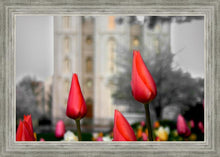 Load image into Gallery viewer, Salt Lake City Temple Beginning Transformation
