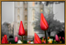Load image into Gallery viewer, Salt Lake City Temple Beginning Transformation Gallery Wrap
