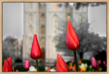 Load image into Gallery viewer, Salt Lake City Temple Beginning Transformation Gallery Wrap
