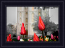 Load image into Gallery viewer, Salt Lake City Temple Beginning Transformation
