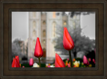 Load image into Gallery viewer, Salt Lake City Temple Beginning Transformation
