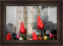 Load image into Gallery viewer, Salt Lake City Temple Beginning Transformation

