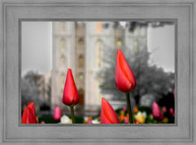 Load image into Gallery viewer, Salt Lake City Temple Beginning Transformation
