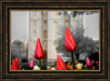 Load image into Gallery viewer, Salt Lake City Temple Beginning Transformation
