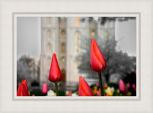Load image into Gallery viewer, Salt Lake City Temple Beginning Transformation
