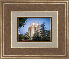 Load image into Gallery viewer, Salt Lake City Temple Early Morning Blessings
