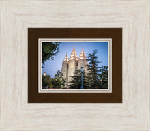 Load image into Gallery viewer, Salt Lake City Temple Early Morning Blessings
