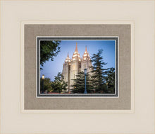 Load image into Gallery viewer, Salt Lake City Temple Early Morning Blessings
