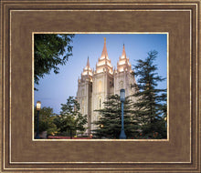 Load image into Gallery viewer, Salt Lake City Temple Early Morning Blessings
