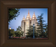Load image into Gallery viewer, Salt Lake City Temple Early Morning Blessings
