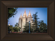 Load image into Gallery viewer, Salt Lake City Temple Early Morning Blessings
