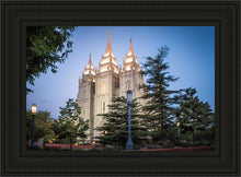 Load image into Gallery viewer, Salt Lake City Temple Early Morning Blessings
