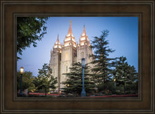 Load image into Gallery viewer, Salt Lake City Temple Early Morning Blessings
