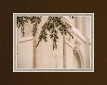 Load image into Gallery viewer, Salt Lake City Temple Even The Smallest Details
